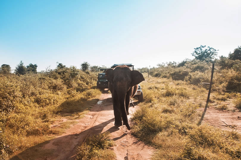 Competição tuk tuk no Sri Lanka