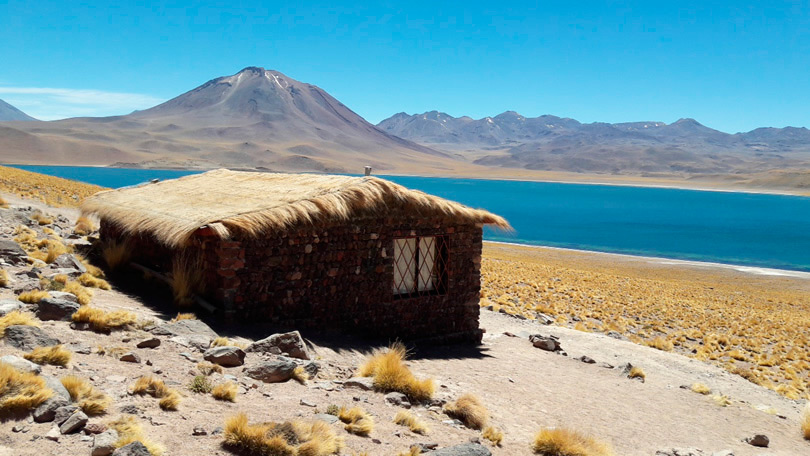 Passeio Lagunas Altiplânicas - Deserto do Atacama memorável