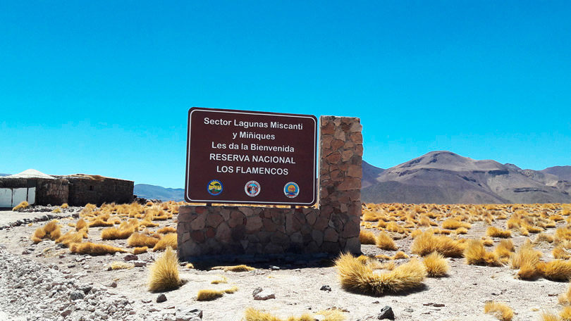 Atacama Deserto