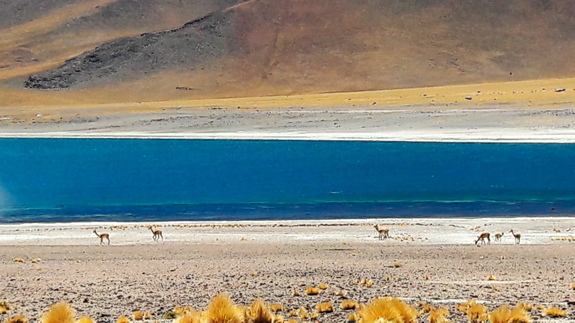 Atacama Deserto
